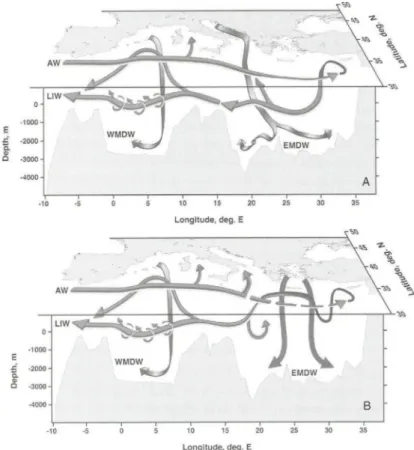 Fig. 3. The thermohaline of the Mediterranean in the time before (top) and during (bottom)  the Eastern Mediterranean Transient (source: Tsimplis et al