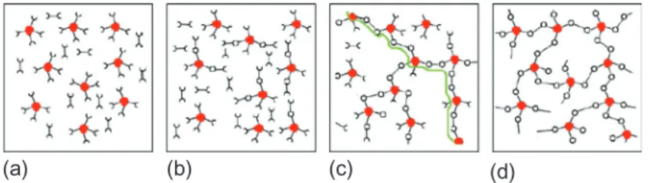 Figure 13.4 Chemical structure evolution during cross-linking of a reactive system: (a) resin and hardener; (b) linear/branched oligomers; (c) sol/gel transition; (d) 3D network.