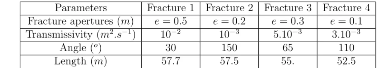 Figure 5. Concentration field for time 7.8 10 4 s : smeared fracture simula- simula-tion