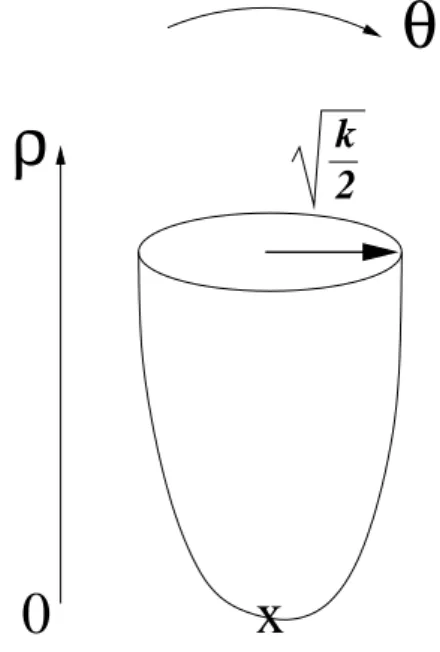 Figure 7: The cigar is parametrized by two coordinates ρ ∈ [0, ∞ ] and θ ∈ [0, 2π].