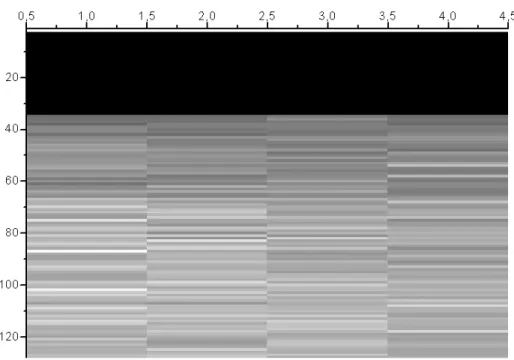 Figure 12: same image on a 137 krads irradiated chip (not the same tone scale 0: dark , 100  bright, adcu)