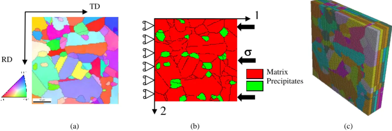 Figure 3. (a) Example of inverse pole figure map showing the position of the normal axis in the stereographic triangle, (b) phase map, (c)  aggregate picture