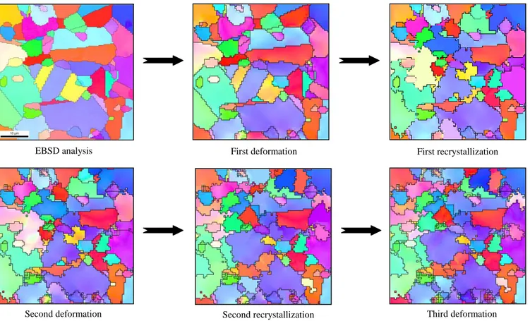 Figure 10. Orientation evolution for two and half cycle of deformation and recrystallization 