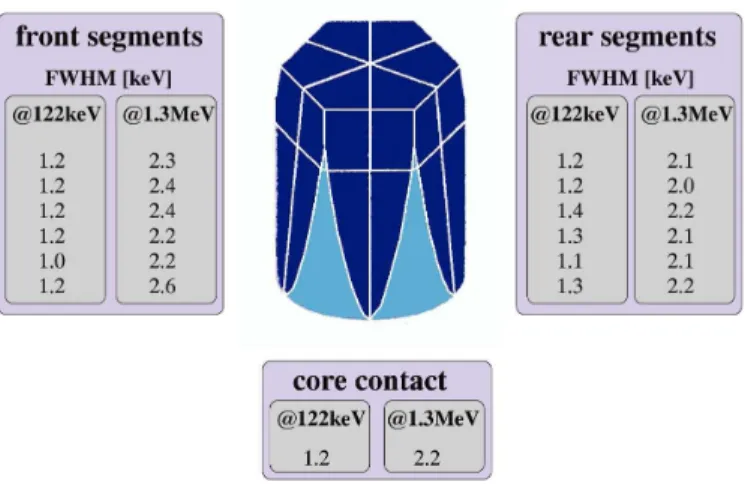 Fig. 2.9: The 12-fold segmented, encapsulated Ge detector. 