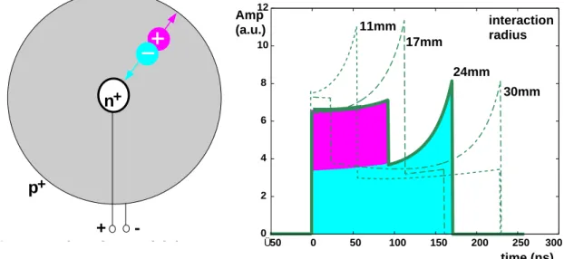 Fig. 3.2: Transversal cut through an n-type coaxial detector showing the carrier drift (left), and induced current signals in the detector corresponding to four interaction radii (right).