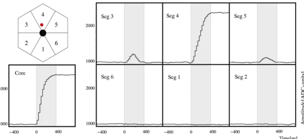 Fig. 3.4: Signals of the core and segments for an event fully absorbed in segment 4. 