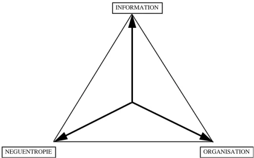 Figure 1.7 : Le triangle d'interactions de l'information dans un système selon E. Morin 