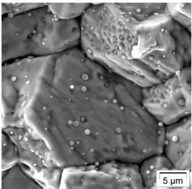Fig. 25. Formation de bulles visibles au MEB dans les grains  du combustible à fort taux de combustion au centre des pastilles.