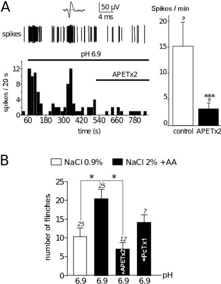 Figure 2. Effect of ASIC3 inhibition by APETx2 on acid and inflammatory pain (according to Figures 1B and 3E from  Deval et al., 2008)