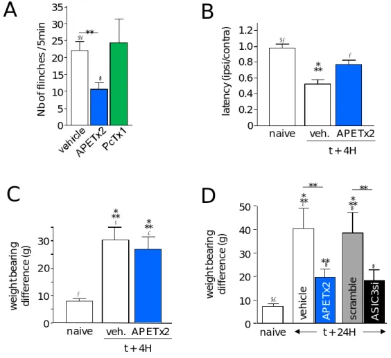 Figure 3. Effect of ASIC3 inhibition by APETx2 on postoperative pain (according to Figures 3B, C, E and 4A from  Deval et al., 2011)