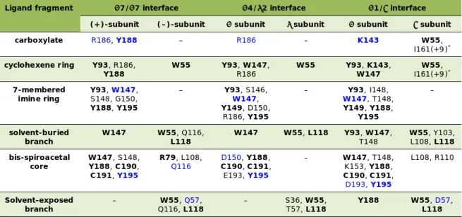 Table 1. Protein-ligand interactions within a 4 Å distance between atoms in pinnatoxin A and various subtypes of nAChRs