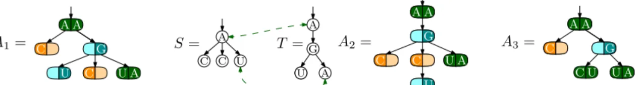 Figure 1. (Left) A supertree A 1 with alphabet Σ = { A, C, G, U } , and the associated trees S = π 1 (A 1 ) and T = π 2 (A 1 )