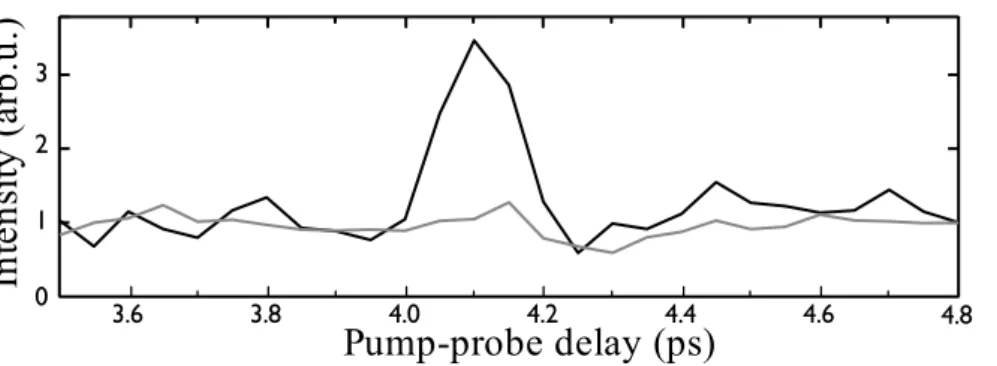 Figure 6. Pump-probe scan in a 50/50 mixture of nitrogen and argon. The black line was obtained with polarization resolved pump probe spectroscopy while the grey line was obtained with conventional detection.