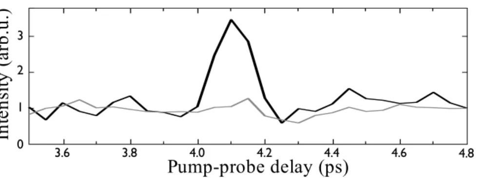 Figure 6. Pump-probe scan in a 50/50 mixture of nitrogen and argon. The black line was obtained with polarization resolved pump probe spectroscopy while the grey line was obtained with conventional detection.