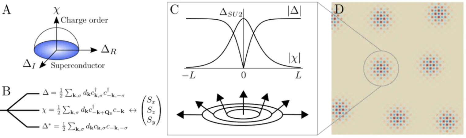 FIG. 3: In some regions of real space, the SU(2) order parameter is constrained to two-dimensional hemispheres (A)