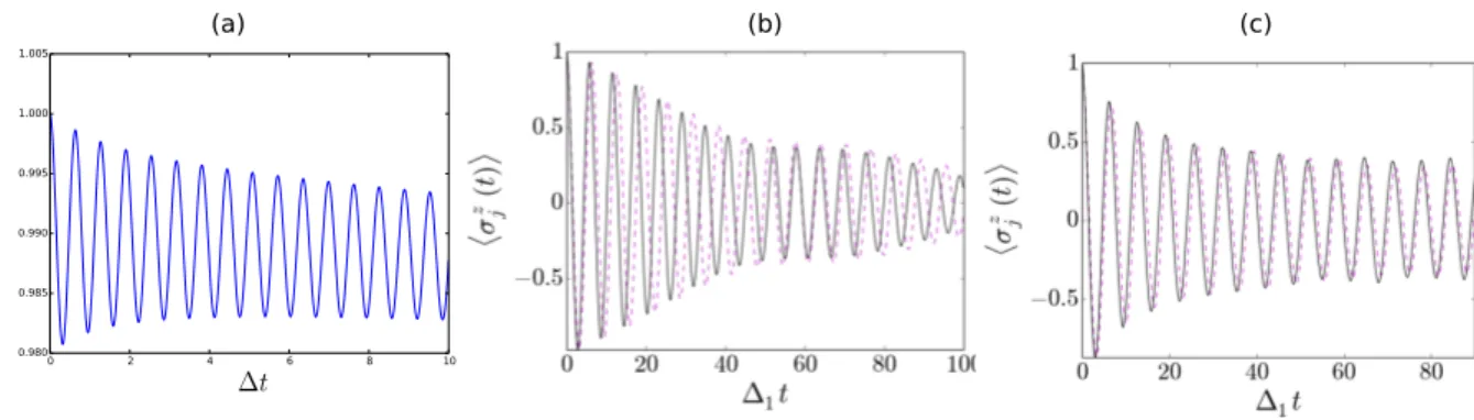 Figure 3: (a) Magnetization 〈σ z 〉 = 〈σ z p 〉 in the mean-field Ising spin chain far in the ferromagnetic phase using the NIBA approximation of Eq.