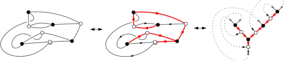 Figure 11. Left: a rooted m-regular bipartite map M (with m = 3).
