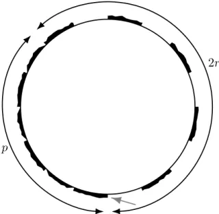 Figure 3: To obtain a functional equation for the enumeration of bicolored maps with an alternating boundary, we consider a more general boundary condition, with a monochromatic part (of length denoted by p) and an alternating one (of length denoted by 2r)