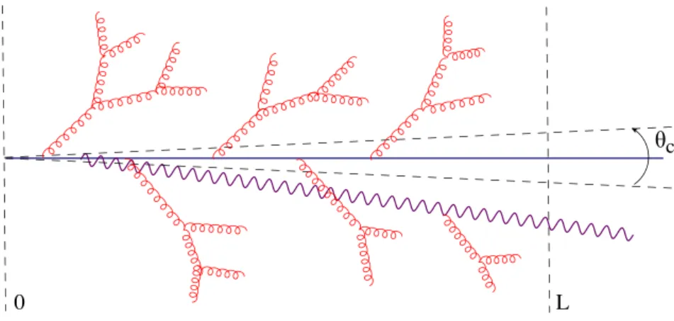 Figure 1: The jet produced in a ‘rare event’ which, besides the leading particle and the (quasi–deterministic) soft gluon cascades at large angles, also contains a hard gluon with ω ∼ ω c , which propagates at a small angle θ ∼ θ c .