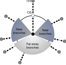 FIG. 8: Schematic representation of the approximation used to compute the centrality g 0 (w) at the center 0.