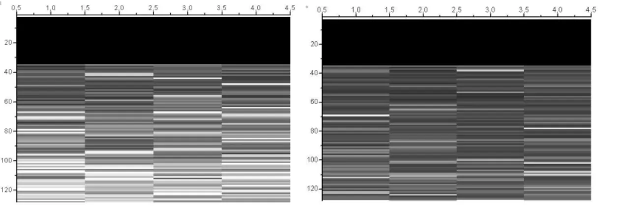 Fig.  20:  shows  that  some  pixels  are  more  affected  than  they  neighbours  by  neutron  irradiation