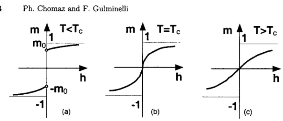 Fig. 1.  Schematic  representation  of the  average  magnetization  as a  unction  of the applied external field  for  the Ising  model in  more  than one  dimension  at  subcritical  (left),  critical