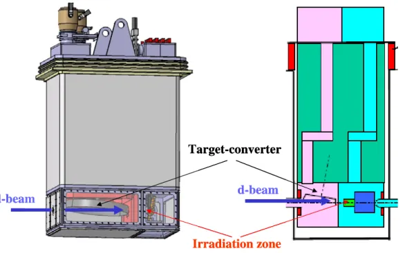 Figure 10: A schematic view of a dedicated plug for the RIB production (source: Y. Huguet,  GANIL, 6 November 2003)