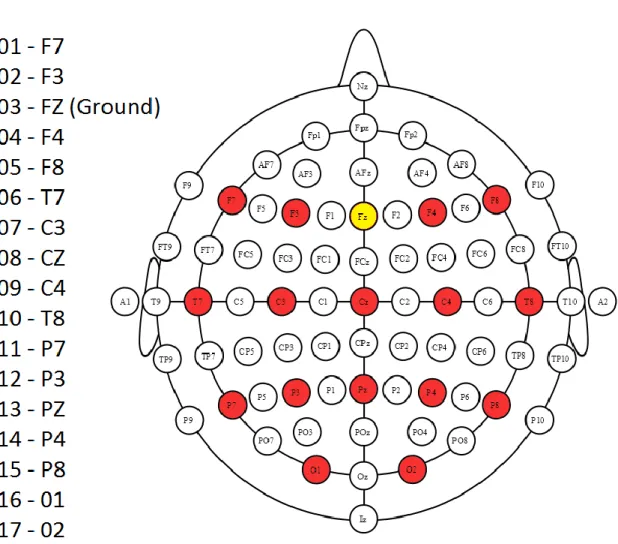 Figure 1. In red, the 16 electrodes placed according to the 10-20 international system