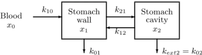 Fig. 1. Compartmental system after simplifications: two-compartment catenary system