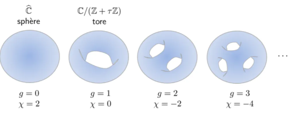 Figure I.8: Classification topologique des surfaces compactes connexes orientables.