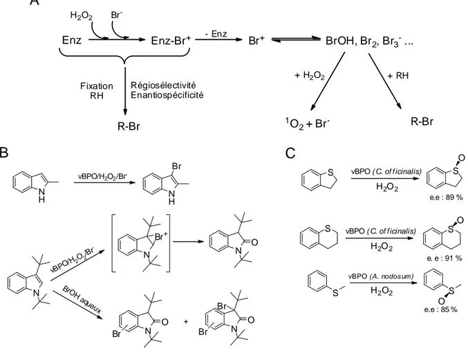 Fig. 13 : Exemples de réactions régiosélectives et énantiosélectives catalysées par les vBPO 