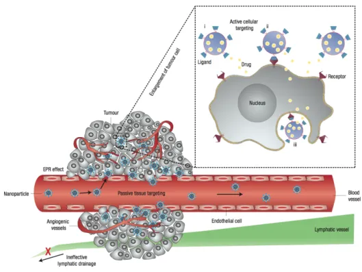 Figure  6.  Schematic  representation  of  different  mechanisms  by  which  nanocarriers  can  deliver  therapeutic  agents  to  tumors