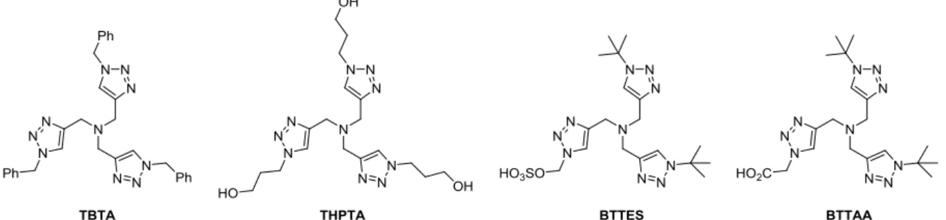 Figure 12 : Exemples de ligands tris-triazoles développés pour la CuAAC. 