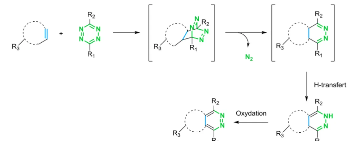 Figure 25 : Mécanisme de la réaction de Diels-Alder à demande inverse en électrons entre les tétrazines et les alcènes