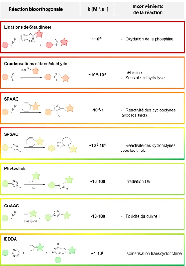 Figure 28 : Bilan des principales réactions bioorthogonales,   ordre de grandeur de vitesse réactionnelle, principales limitations