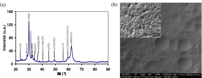 Figure  II-1.  (a)  Diffractogramme  et  (b)  images  MEB  du  dioxyde  de  plomb  déposé  sur  carbone vitreux pour étudier le dégagement d‟oxygène.