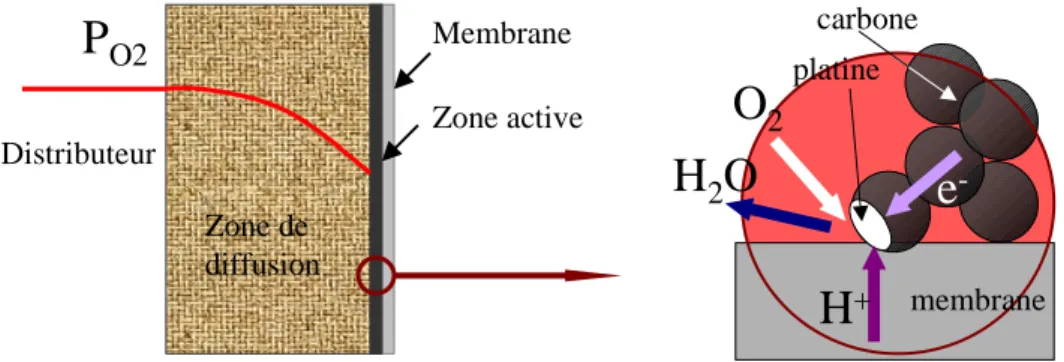 Figure V-19 : Exemple d’électrode : la cathode – détail de la zone active (contact triple) 