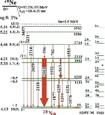 Fig II.5-2 - Schéma de niveau du  28 Na peuplé par  décroissance β du  28 Ne issu de [ 29 ] 