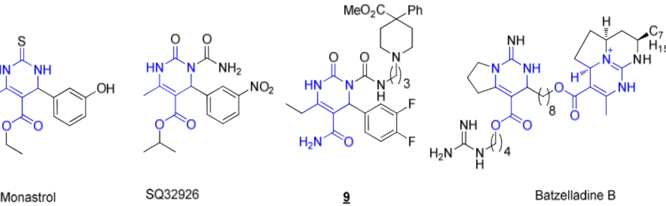 Figure  20  :  Quelques  dérivés  de  dihydropyrimidinones  à  activité  biologique.  Le  monastrol  inhibe  la  kinésine  Eg5  (anticancéreux),  SQ32926  est  un  inhibiteur  de  canaux  calciques  (antihypertenseur),  9  est  un  antagoniste  des  récept