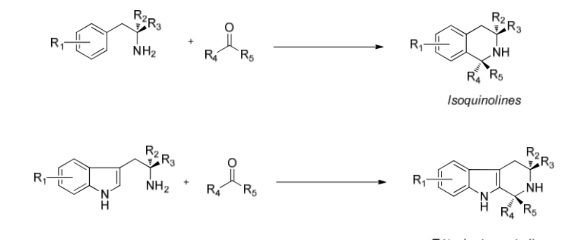 Figure 21 : Réaction de Pictet-Spengler pour la préparation d'isoquinolines et de tétrahydro-β-carbolines