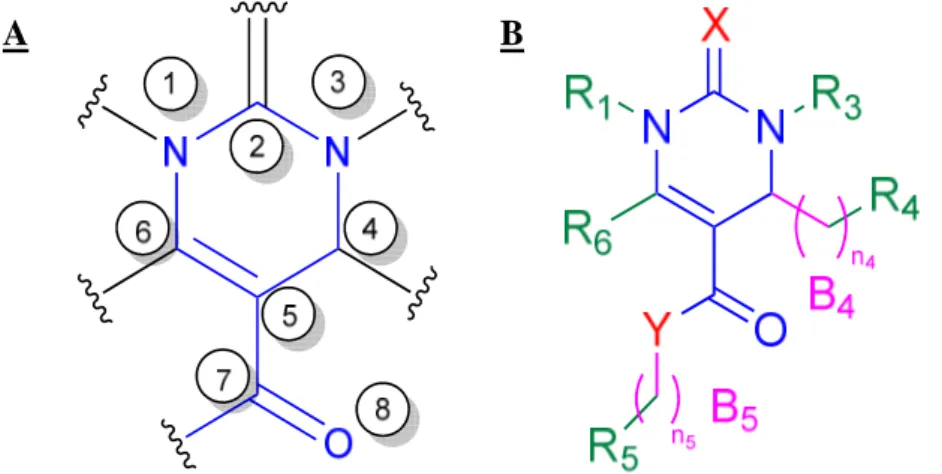 Figure 31 : A. Numérotation des atomes du cycle principal ; B. Structure de Markush des analogues d'ITB 9