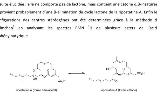 Figure 3. Les deux formes de la ripostatine A 