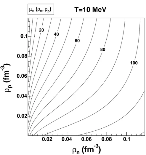 Fig. 4.4 – Repr´esentation de diff´erents chemins iso-µ n (avant construction de Gibbs) dans le plan (ρ n , ρ p ) `a T = 10M eV 