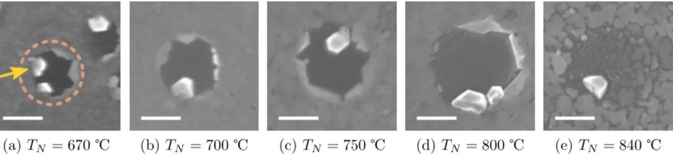 Figure 3.3: SEM images of dark areas and their surrounding AlN pedestals – scale bar: