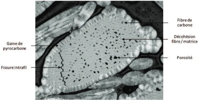 Figure 1.15 – Micrographie d’un fil de pli (résolution : 0.5 µm/pixel). Détail sur l’architecture et les endommagements intrafils.