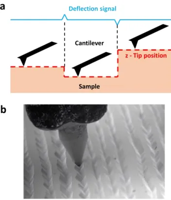 Figure 3.3– (a) Contact AFM operation mode depiction. (b) Phonograph needle running through the grooves  of a vinyl record under an electron microscope