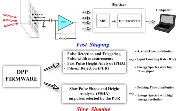 Figure 1.13: A schematic view of the readout electronic circuit architecture and the main operations of the DPP firmware in [46].