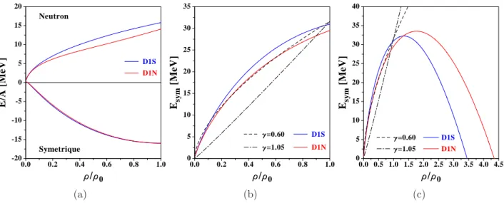 Fig. II.7 – Partie (a) : Equations d’´etat de la mati`ere neutronique et de la mati`ere sym´e- sym´e-trique calcul´ees avec les interactions D1S et D1N.