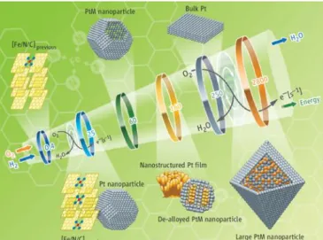 Figure 37 : Evolution du turnover frequency avec la géométrie des particules [40] . 