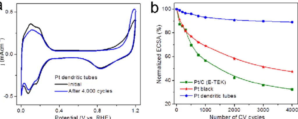 Figure 43 : Evolution de la surface active ECSA avec 4000 cycles sur des catalyseurs Pt@Ag creux dendritiques  sans support carbone [51] 